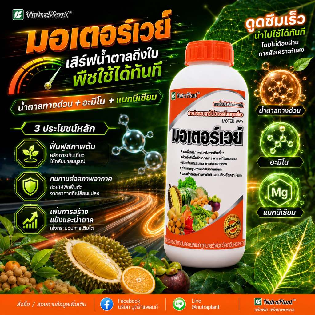 มอเตอร์เวย์ นูตร้า-แพลนท์ ขนาด 1 ลิตร สะสมอาหาร เร่งสี เร่งหวาน ฟื้นฟูต้น