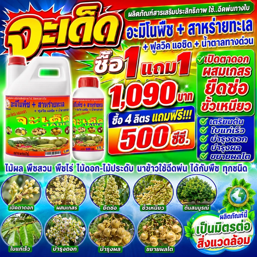 ซื้อ 1 แถม 1 จะเด็ด เปิดตาดอก พืชสมบูรณ์ ก้านช่อยาว ผลอวบ น้ำหนักดี สูตร X4 พลัง ฉีดพ่นทางใบ สำหรับ ลำไย