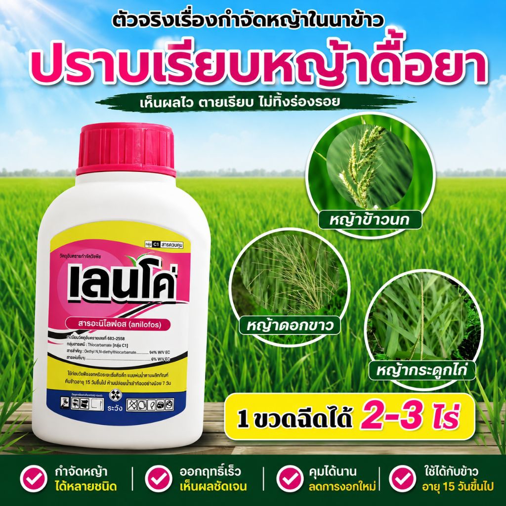 เลนโค่ 250ซีซี (สารอะลิโนฟอส) เด่นกำจัดวัชพืชใบแคบ หญ้าข้าวนก หญ้าดอกขาว หญ้าเดือย หรือกระดูกไก่ 1ขวด ใช้ได้ 4-5 ไร่