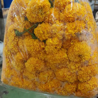 สินค้าพร้อมจัดส่ง ดาวเรืองสด เบอร์ 0 1 2 3 จำนวน100 ดอก จัดส่งด่วน กทม.