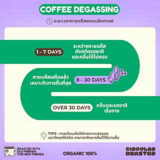 เมล็ดกาแฟ | คั่วอ่อน | Ethiopia Yirgacheffe G2 | สำหรับชงดริป | เอสเพลสโซ่ | เฟรนเพลส | คั่วใหม่