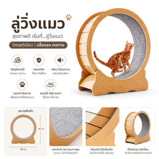 🐱[PetParadise.th]🐶 ลู่วิ่งแมว ที่ออกกำลังกายสัตว์เลี้ยง รุ่นTP01 เสียงเงียบ ฐานมั่นคง