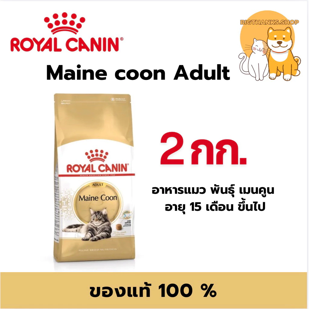 Royal canin Adult Maine coon 2 kg. ชนิดเม็ดสำหรับแมวโตพันธุ์เมนคูน อายุ 15เดือนขึ้นไป