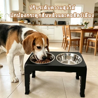 🍚 ชามอาหารหมา การปรับความเร็ว 4 ระดับ ถอดออกได้ แบบกันมด ชามอาหารแมว ชามสแตนเลส ชามอาหารสัตว์เลี้ยง 2 in 1 ฐานกันลื่น