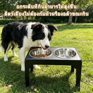 🍚 ชามอาหารหมา การปรับความเร็ว 4 ระดับ ถอดออกได้ แบบกันมด ชามอาหารแมว ชามสแตนเลส ชามอาหารสัตว์เลี้ยง 2 in 1 ฐานกันลื่น