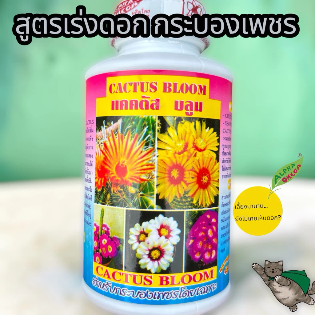 🌵 CACTUS BLOOM อาหารกระบองเพชร สูตรพรีเมียม ต้นแข็งแรง ผิวสวย หนามแน่น