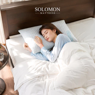 Solomon เซตหมอนหนุนเย็น 1 ใบ และหมอนข้างเย็น 1 ใบ หมอนสัมผัสเย็น ระบายอากาศดี