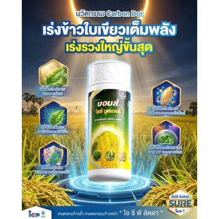 บอมบ์ ไรซ์บูสเตอร์ ไอซีพี ลัดดา ผลิตใหม่2569 เสริมการสังเคราะห์แสง สร้างอาหารพืช 1ลิตร