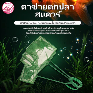 สวิงตักปลา กระชอนตักปลา แบบเหลี่ยม เข้าซอกตู้ได้เป็นอย่างดี ตาข่ายเหนียว ด้ามพีวีซี ใช้ได้ยาวนาน (คละสี) ที่ วน