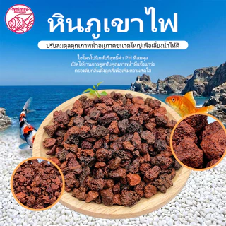หินลาวาแดง หินลาวาดำ วัสดุกรองตู้ปลา บ่อปลา จากธรรมชาติ จมน้ำ มีรูพรุนสูง ช่วยเป็นที่อยู่ของแบคทีเรียได้เป็นอย่างดี
