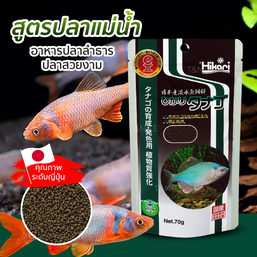 อาหารปลา ปลาลำธาร Hikari Tanago ปลาสวยงาม