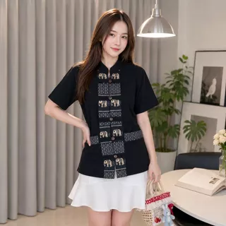 ช้างผ่าหน้า 5 กระดุม 12 สี