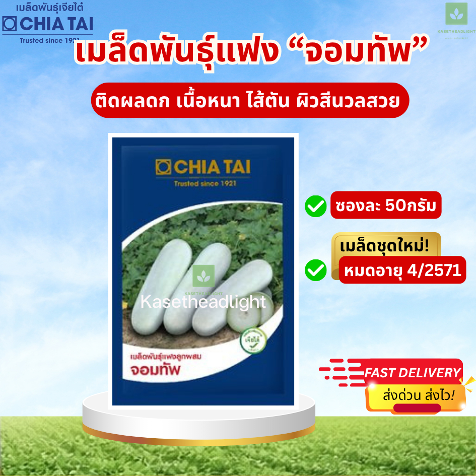 แฟงจอมทัพ 50กรัม เมล็ดพันธุ์ เจียไต๋ Wax Gourd แฟงแก่ เมล็ดพันธุ์แฟง
