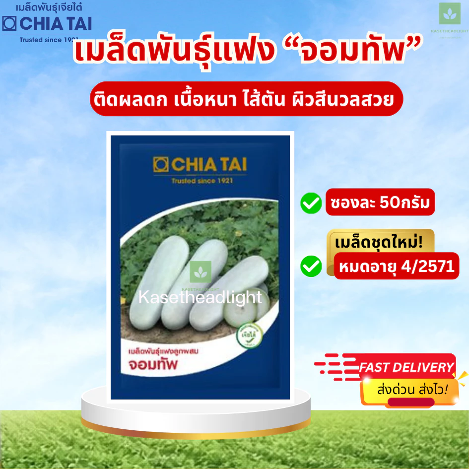 แฟงจอมทัพ 50กรัม เมล็ดพันธุ์ เจียไต๋ Wax Gourd แฟงแก่ เมล็ดพันธุ์แฟง