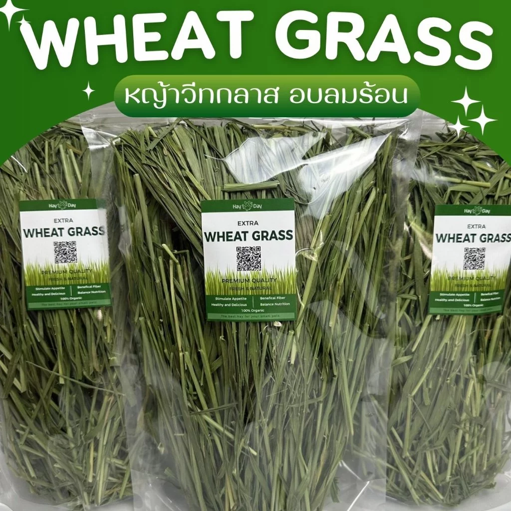 ✿หญ้าวีทกลาส✿ Wheatgrass อบลมร้อน คัดพิเศษ เกรดพรีเมี่ยม สำหรับกระต่ายและสัตว์ฟันแทะทุกชนิด