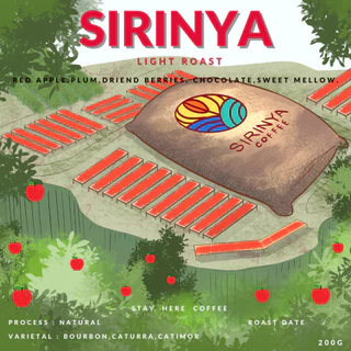 เมล็ดกาแฟคั่วอ่อน SIRINYA (Natural)