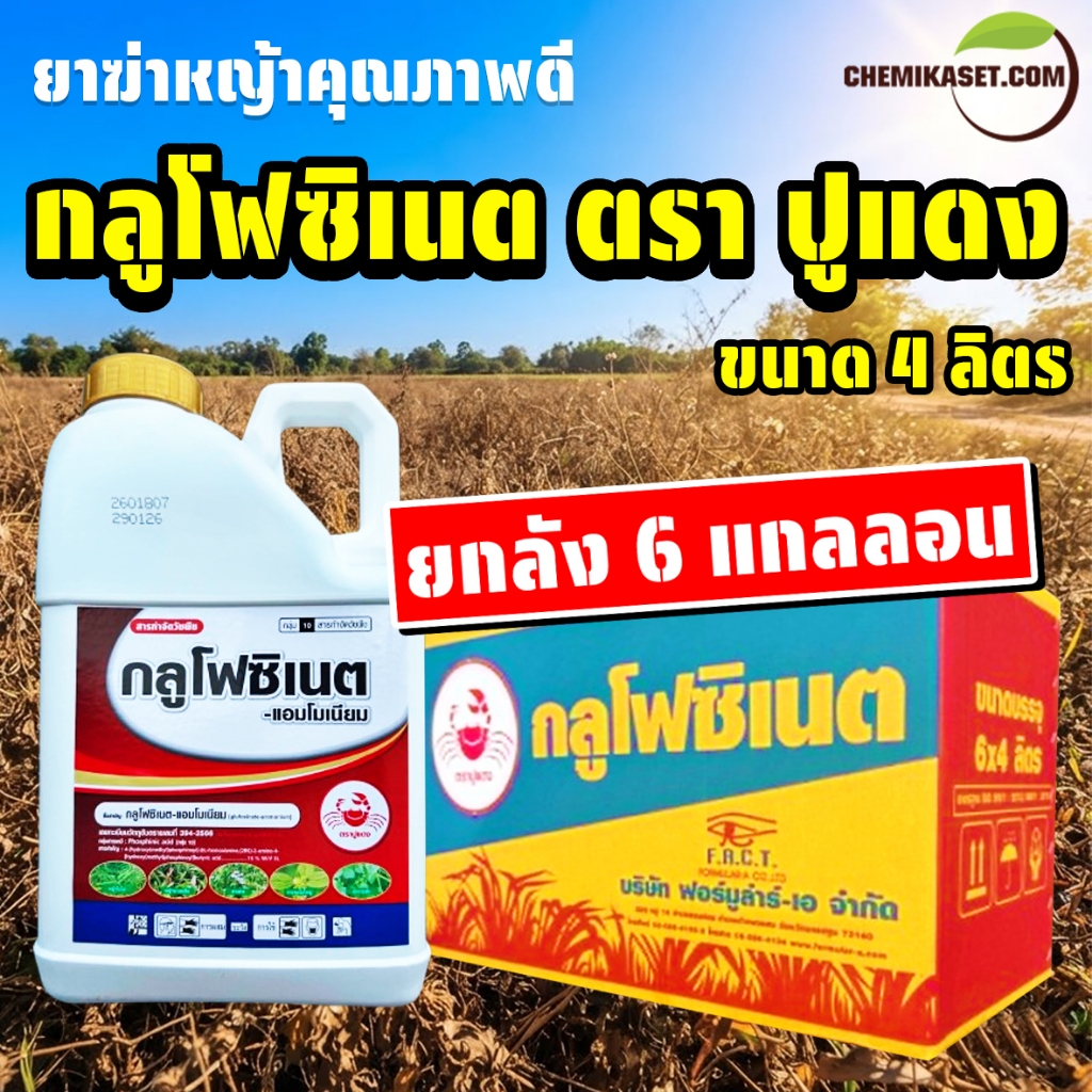ยกลัง 6 แกลลอน กลูโฟซิเนต ตรา ปูแดง กำจัดหญ้าทุกชนิด ออกฤทธิ์เร็ว คุณภาพดี ส่งเร็ว เก็บปลายทางได้