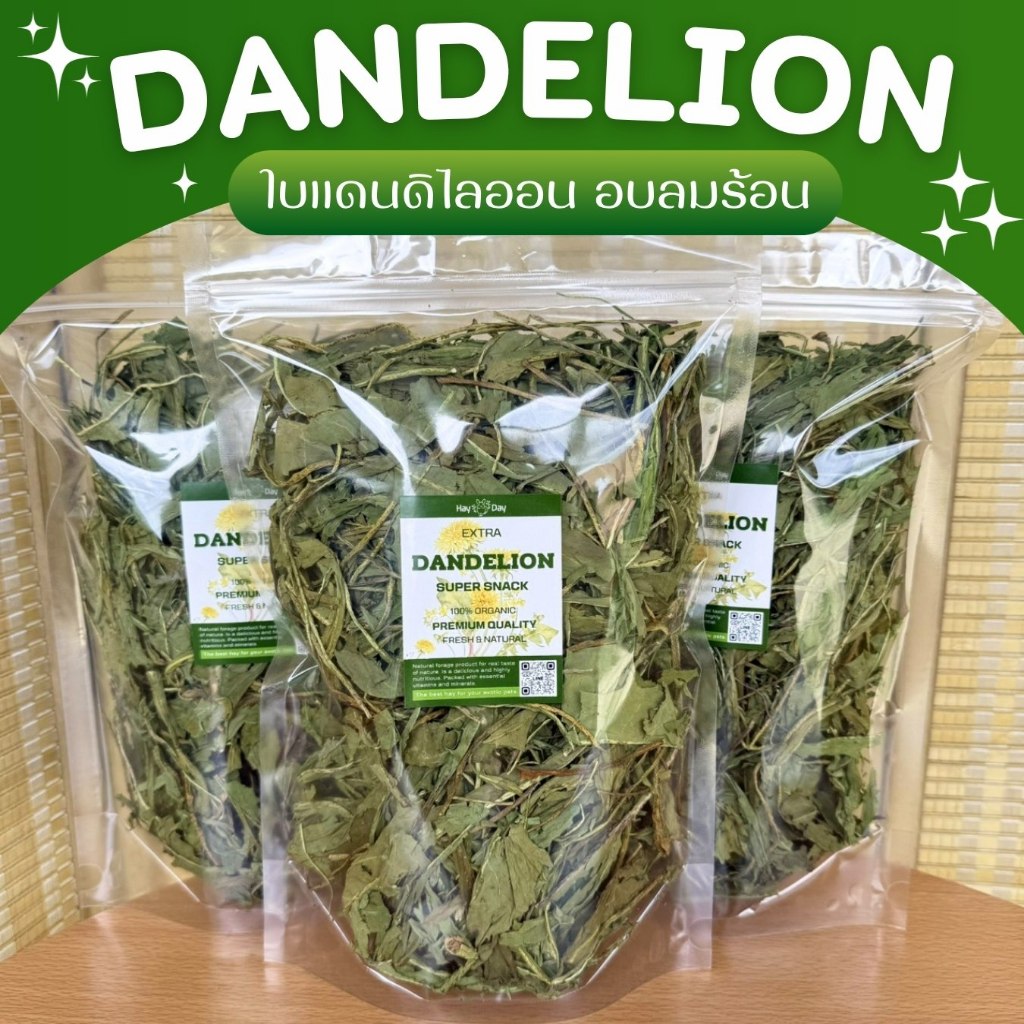 ใบชิโครี Chicory Leaves ใบแดนดิไลออน Dandelions อบลมร้อน รูปที่ 2