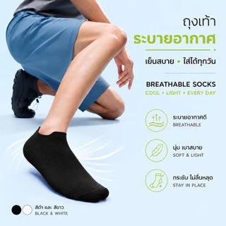 ECOISM ถุงเท้าผู้ชาย ถุงเท้าข้อสั้น ผ้าฝ้ายคอมบ์ ผสมไลคร่า ระบายอากาศ ดูดซับเหงื่อ ไม่หลุดง่าย