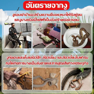 🐍วางปุ๊บ งูหนีทันที! ก้อนไล่งู 12 เม็ด ยาไล่งู ไม่เข้าใกล้ ไม่กลับมา แขวนหรือวางได้ ใช้ได้ในร่มและกลางแจ้ง ทนฝน ปลอดภัย