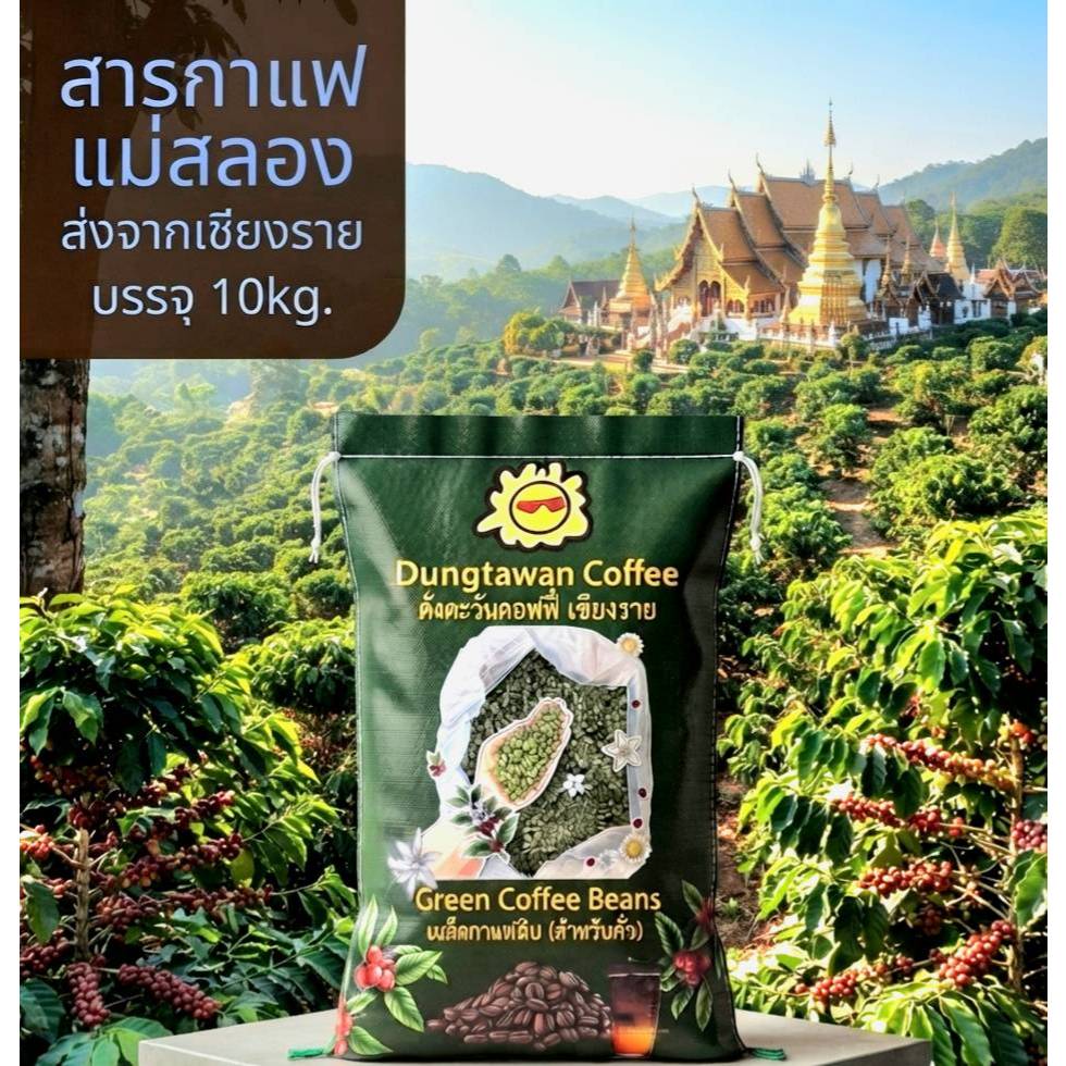 (เกรดA) ยก 10kg. สารกาแฟดอยแม่สลอง Arabica 100% จาก ดอยแม่สลอง จ.เชียงราย