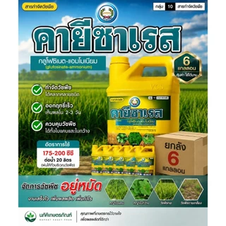 คายีซาเรส ยกลัง * 4ลิตร 6แกลลอน ตราหวีทอง กลูโฟซิเนต ของแท้สั่งตรงจากบริษัท