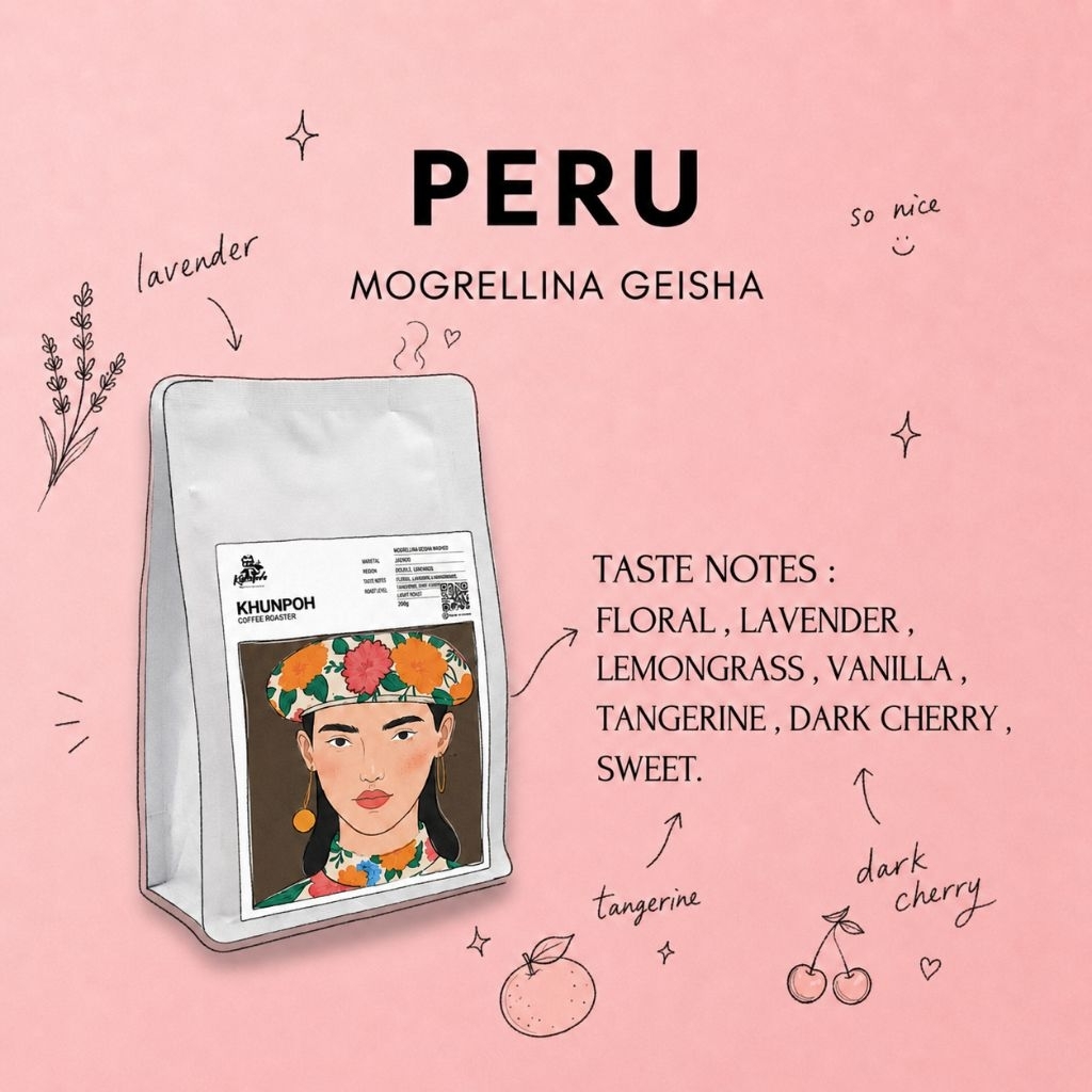 Peru Mogrellina Geisha 🌸