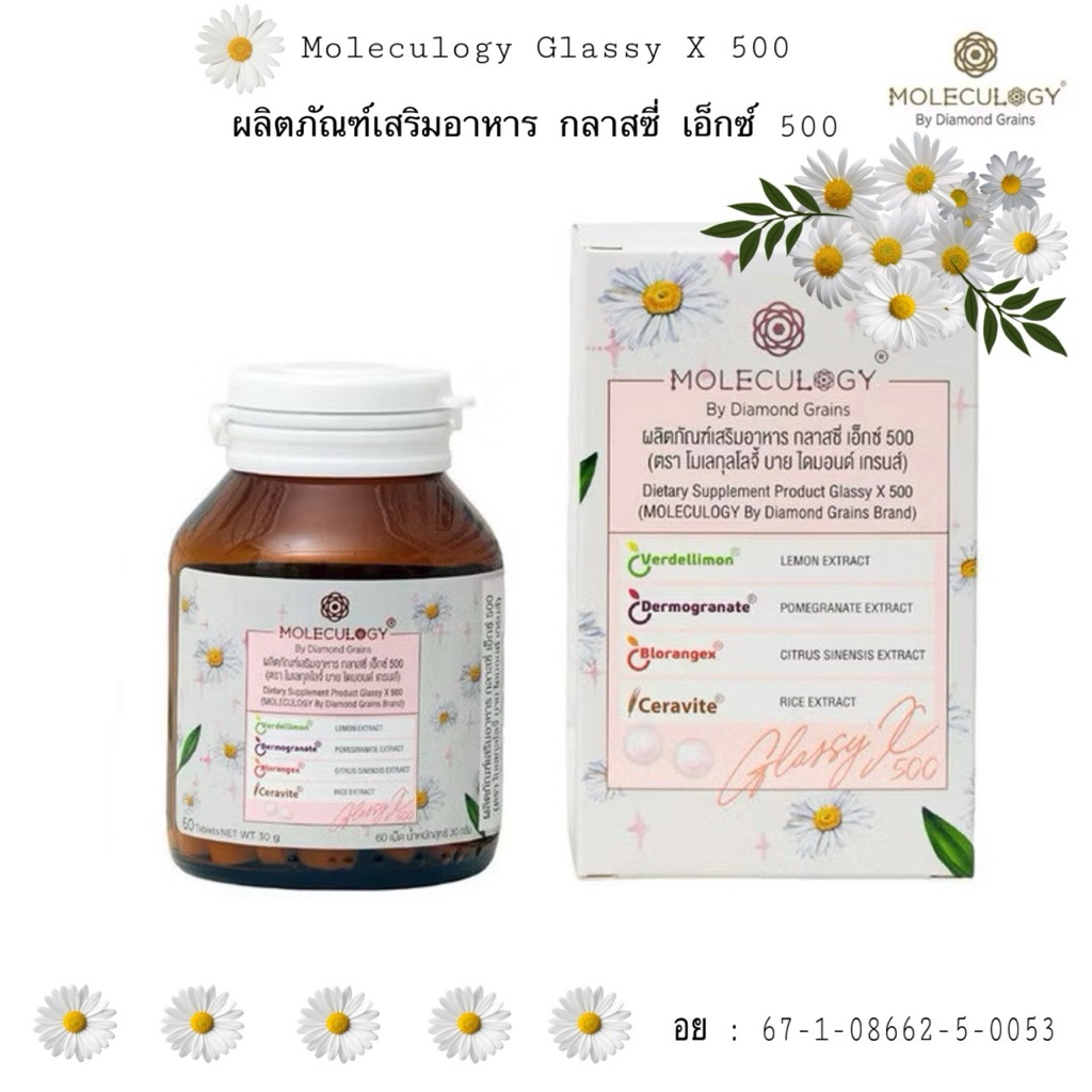 ✨ใหม่ปี 2026🌼MOLECULOGY By Diamond Grains ผลิตภัณฑ์เสริมอาหาร กลาสซี่ เอ็กซ์ 500 60 เม็ด/กระปุก