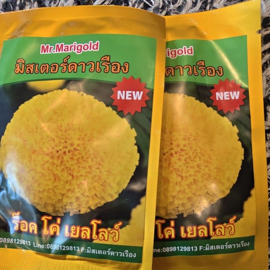 มิสเตอร์ดาวเรือง new ร็อคโค่ เยลโลว์ สีเหลือง