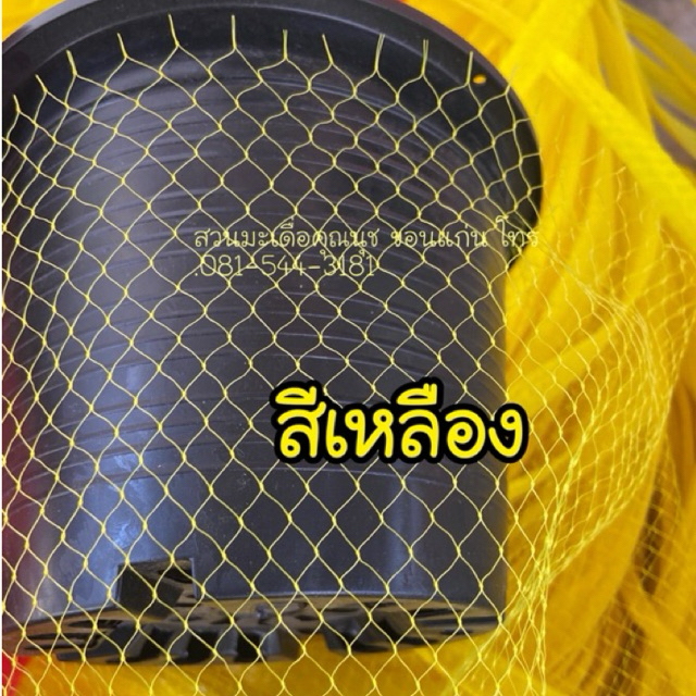 ตาข่ายยืด,ตาข่ายใส่ผลไม้,ตาข่ายพลาสติก,ตาข่ายแพคต้นไม้,ถุง รูปที่ 2