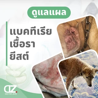 [เซ็ต 2 ขวด] Dr.Zkin Pet Spray ดร.สกิน เพ็ท สเปรย์ [100 ml.] ผลิตภัณฑ์สำหรับสัตว์เลี้ยง บำรุงขน ดับกลิ่น เพิ่มความหอม
