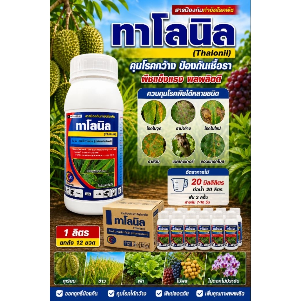 ทาโลนิล 1 ลิตร ยกลัง 12 ขวด คลอโรทาโลนิล 50%SC ยาเย็น ป้องกันกำจัดโรคใบจุด โรคราน้ำค้าง ตราเอสซี