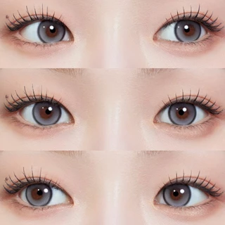 [ของแท้💯] MYFiPN รุ่น BIV VENTI FIXING - CHARCOAL คอนแทคเลนส์รายเดือน 🇰🇷 Lensfarhang