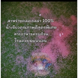 💥หัวเชื้อน้ำเขียวเข้มข้นขนาด1.5ลิตร💥พิเศษเพียงขวดละ20บาทขอปรับขึ้นค่าจัดส่ง5บ.ขอบคุณคับยังคุ้มค่าและถูกเหมือนเดิม