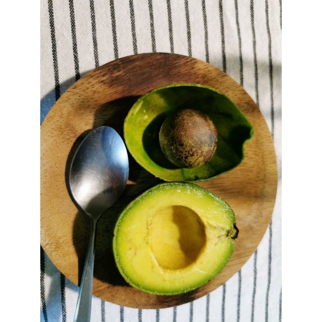 พร้อมส่ง 🥑2กิโล 99บาท [น้ำหนักชั่งรวมกล่อง] อาโวคาโดสายพันธุ์ปีเตอร์สันขนาด 5-8ลูกต่อโล รสชาติเหนียว มัน เนย หนึบ