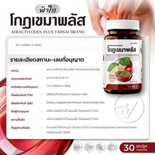 โกฐเขมาฟ้าใส บำรุงข้อเข่า กระดูกทับเส้น แก้ปวดเมื่อยร่างกาย เหน็บชา : 1 กระปุก