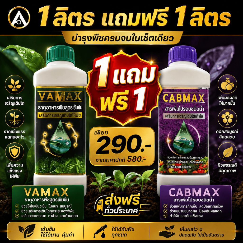 1แถม1 ปุ๋ยน้ำ ปุ๋ยทางใบ ธาตุอาหารพืชรวม แคลเซียม โบรอน vamax+Cabmax