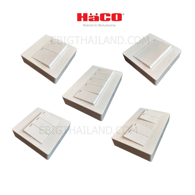 Haco สวิทซ์เปิด-ปิดไฟแบบติดลอย บางเพียง 25mm. มีแบบทางเดียว 1-5 ช่อง และ แบบสองทาง 1 ช่อง