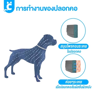 [ส่งฟรี🇹🇭] CleverPet ปลอกคอกไล่เห็บหมัด สำหรับแมวและสุนัข ใช้งานได้นานถึง 8 เดือน ปลอดภัย ไล่แมลง Tick Collar