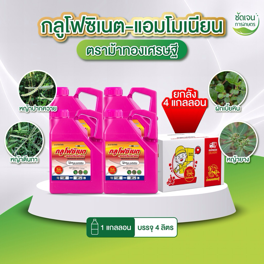 กลูโฟซิเนต-แอมโมเนียม ตราม้าทองเศรษฐี เเกลลอนสีชมพู (น้ำสีเขียว) แพ็ค 4 แกลลอน