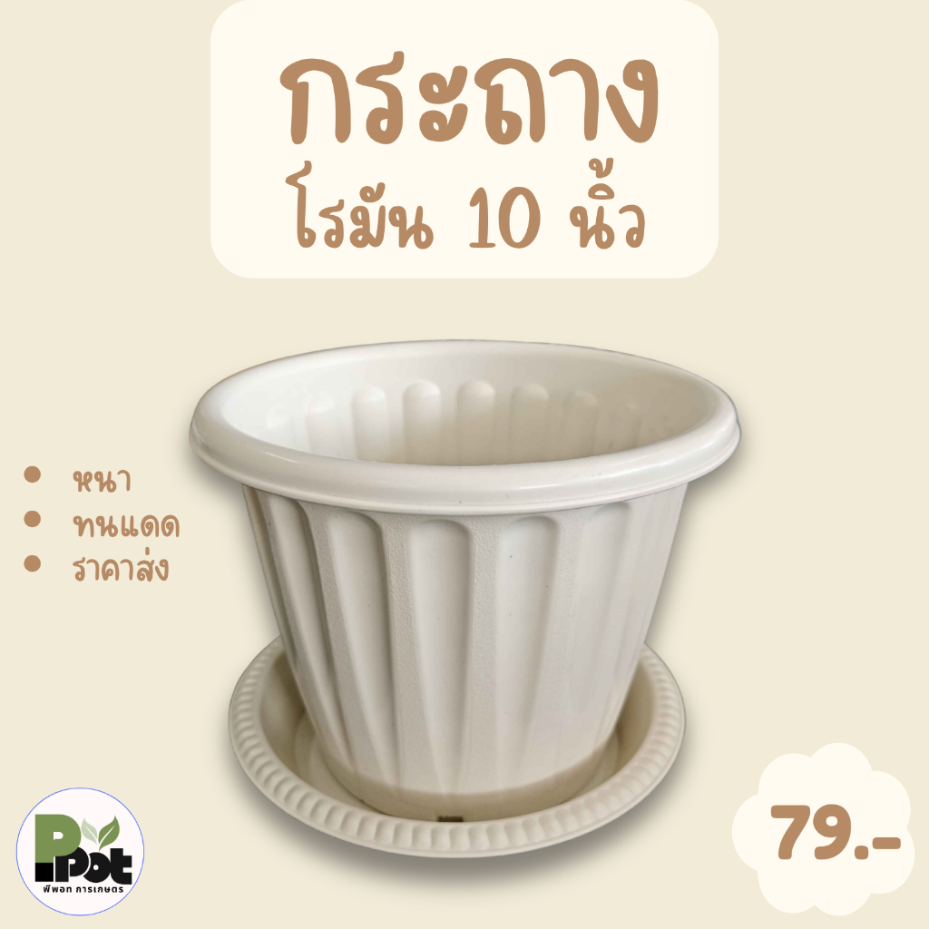 กระถางต้นไม้ รุ่นโรมัน ไซส์ 10 นิ้ว + จานรอง มีหลายสีให้เลือก สีขาว เทา อิฐ