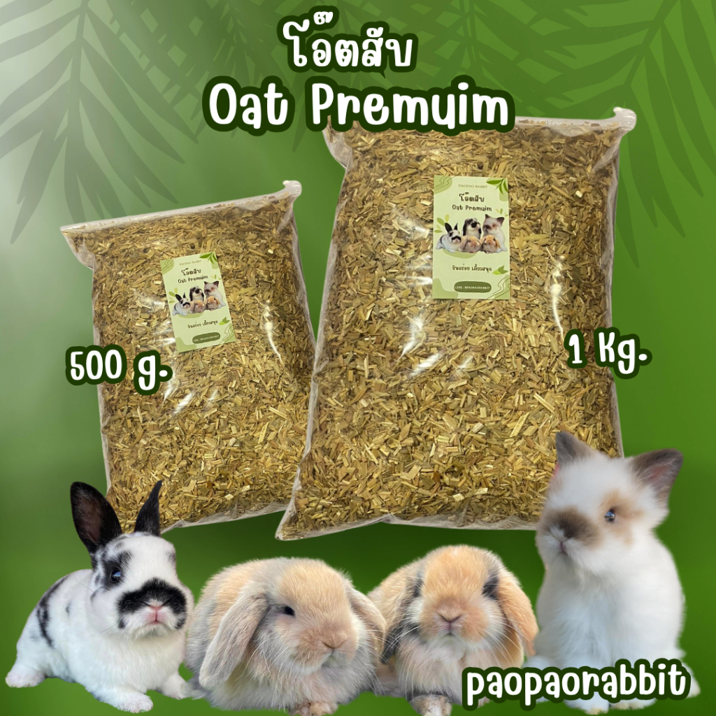 โอ๊ตสับ oat hay ต้นข้าวโอ๊ตสับ