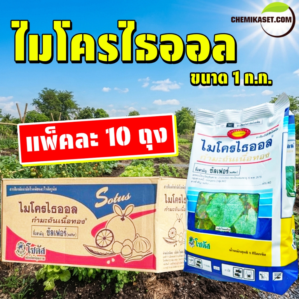 (แพ็ค 10 ถุง) ไมโครไธออล ขนาด 1 ก.ก. กำมะถันเนื้อทอง ซัลเฟอร์ ป้องกันกำจัดโรคพืชและไรศัตรูพืช โซตัส