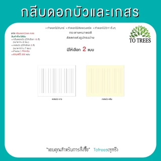 Totrees กลีบดอกบัวและเกสร ดอกไม้จันทน์ ดอกไม้DIY มีให้ 2 แบบ ครึ่งโล และ 1กิโลกรัม/สี รหัส กลีบบัวและเกสร