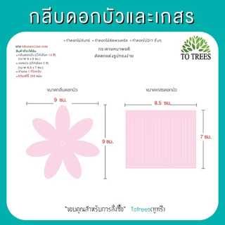Totrees กลีบดอกบัวและเกสร ดอกไม้จันทน์ ดอกไม้DIY มีให้ 2 แบบ ครึ่งโล และ 1กิโลกรัม/สี รหัส กลีบบัวและเกสร