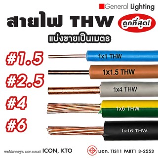 สายไฟ THW IEC01 ทองแดงแท้ 100% แบ่งขายเป็นเมตร #1.5 #2.5 #4 #6 sq.mm. ยี่ห้อ DEEMA, KTO มอก.