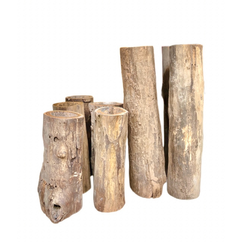 ไม้โพรง ทะลุ  ใช้ตกแต่งบ้าน แต่งตู้ปลา สัตวเล้อยคลาน diy  driftwood