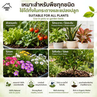 ดินปลูกต้นไม้ 10 กก. สูตรพร้อมใช้ ดินโปร่ง ระบายน้ำดี สำหรับไม้กระถาง ผัก และไม้ดอก | Premium Potting Soil