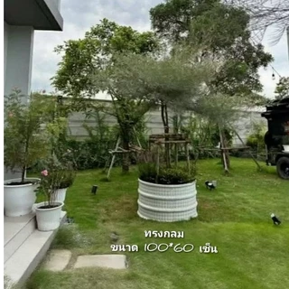 กระถางเมทัลชีท DIY ทรงกลม ผลิตจากเหล็กเมทัลชีท เหล็กหนา 0.35 มิล รับสั่งผลิตตามขนาด (ความสูงจะแตกต่างกันเล็กน้อย)