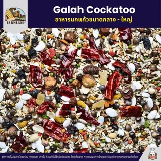 (5KG/10KG) Farmland Galah Cockatoo อาหารนกกระตั้วทุกสายพันธุ์